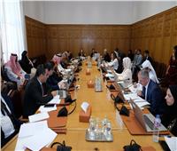 الاجتماع ١٧ للجنة الفنية الاستشارية لمجلس وزراء الصحة العرب