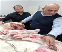 ضبط 75 طناً من اللحوم الغير صالحة للإستهلاك في القليوبية