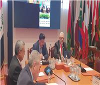 برعاية جامعة الدول العربية إنطلاق أعمال المؤتمر الدولي 15 للتنمية المستدامة 