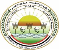 «الزراعة»: فتح سوق جمهورية «الدومينكان» أمام الموالح المصرية والرمان
