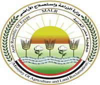 «الزراعة» تنفي رصد جراد صحراوي بـ «بئر العبد» في سيناء