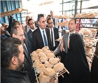 فاروق..  جولة تفقدية موسعة بمحافظة القاهرة لمتابعة الأنشطة التموينية وتوافر السلع بالأسواق