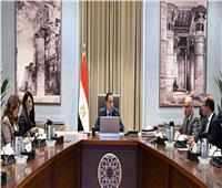 رئيس الوزراء يتابع الموقف التنفيذي الحالي لمشروعات حماية الشواطئ