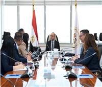 "هيميلي" تعزز مكانة مصر كمركز للصناعات المغذية للسيارات