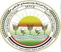 «الزراعة»: رعاية بيطرية لبطولة «لونجين» العالمية للفروسية
