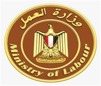  العمل: 4435 وظيفة بـ 7 محافظات