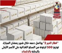توزيع 500 كرتونة مواد غذائية على الأسر الأولى بالرعاية بالدلنجات
