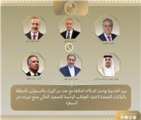 تحركات مكثفة لوزير الخارجية لاحتواء التصعيد بالمنطقة 