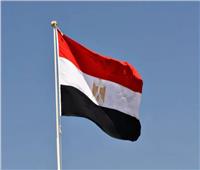 مصر تدين اقتحام  المسجد الأقصى تحت الحماية الإسرائيلية