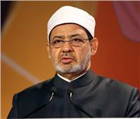 حكماء المسلمين: حماية الأرض واجب أخلاقي  لضمان إستدامة الحياة