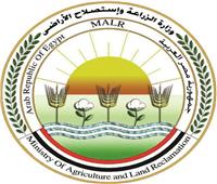الزراعة: تحصين الماشية ضد مرض الحمى القلاعية وحمى الوادي المتصدع