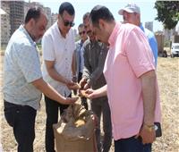 انطلاق حصاد القمح بمدرسة سوهاج الزراعية