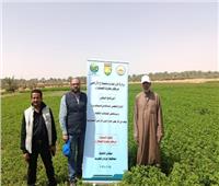 بحوث الصحراء ينفذ 7 حقول إرشادية بالوادي الجديد لمواجهة تغير المناخ