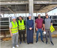 الأوقاف: ذبح وتوزيع مئات رؤوس الماشية بالمجان على مستحقيها بجميع المحافظات