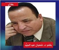 في رحيلِ الدكتور خالد فهمي: أيُّ علمٍ رُفِع؟!