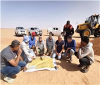 الزراعة تستعرض إنجازات مركز بحوث الصحراء في التنمية الزراعية والبيطرية