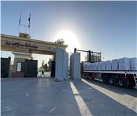 الهلال الأحمر المصري يطلق زاد العزة 208 بحمولة 2700 طن لدعم غزة