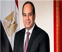 السيسي ورئيس إريتريا يبحثان أمن القرن الأفريقي والبحر الأحمر
