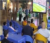 تخصيص 50 مركز شباب بكفر الشيخ لمتابعة مباريات كأس العالم مجانًا