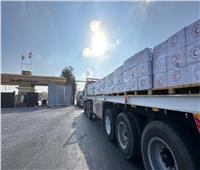  الهلال الأحمر المصري يطلق قافلة زاد العزة 229 إلى قطاع غزة