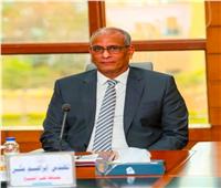 محافظ كفرالشيخ: ضبط 200 كجم لحوم مجمدة مجهولة المصدر بقلين