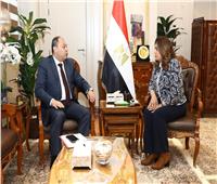 وزيرة التنمية المحلية تتابع مع رئيس هيئة تنمية الصعيد المشروعات التنموية الجارية