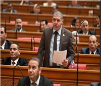 برلمانى: ثورة 23 يوليو محطة فارقة في تاريخ الأمة 